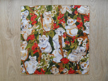 Load image into Gallery viewer, Koala Handkerchiefs