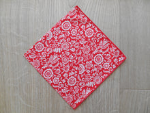 Load image into Gallery viewer, Clair & Emily Liberty Handkerchief