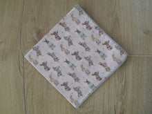 Load image into Gallery viewer, TimWUnderland Liberty Handkerchief
